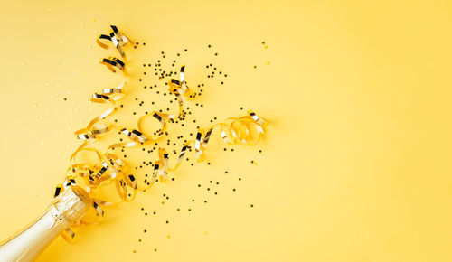 Close-up of birds over white background