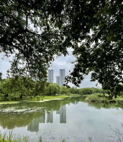 Scenic view of lake by trees against sky
