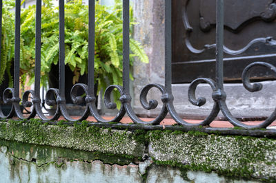 Close-up of closed metal gate against trees