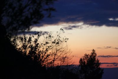 Low angle view of silhouette trees against sky during sunset