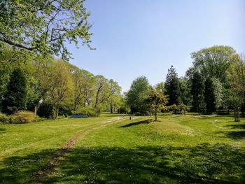 Scenic view of trees against clear sky