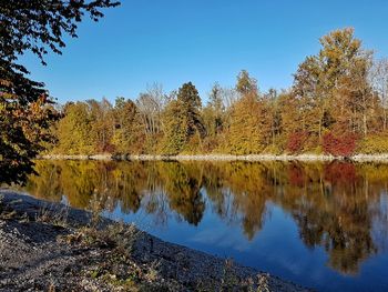 Reflection of trees in lake against blue sky