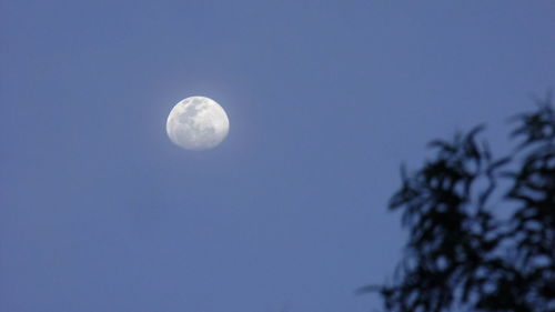 Low angle view of moon in sky