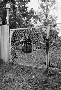 Gate of old wooden fence