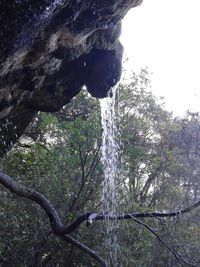 Low angle view of waterfall in forest