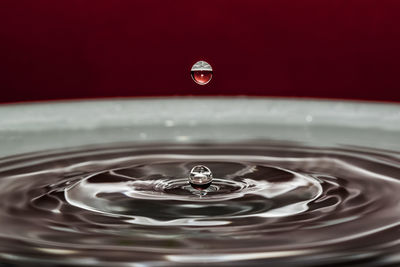 Close-up of water drop