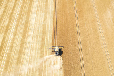 Aerial view of combine harvester in vast wheat field