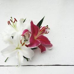 Close-up of white flowers