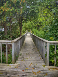 Footbridge amidst trees in forest