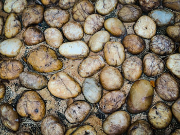 Full frame shot of onions for sale at market stall