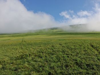 Scenic view of field against sky