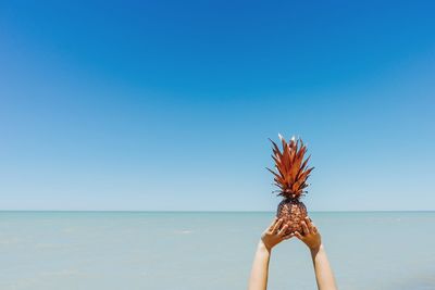 Low angle view of hand against sea against clear sky