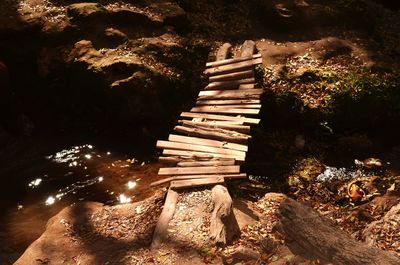 Panoramic view of footbridge in forest