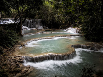 Scenic view of waterfall in forest