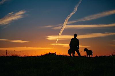 Silhouette  man and dog on field against sky during sunset