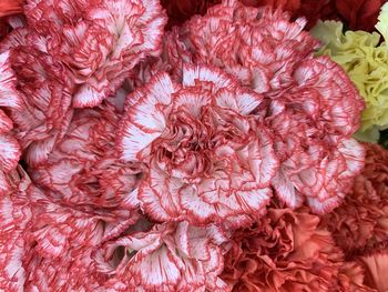 Full frame shot of pink roses in market