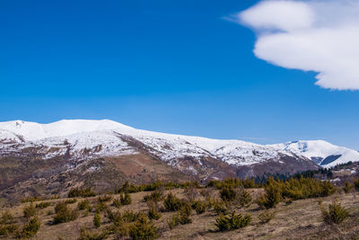 Scenic view of snowcapped mountains against blue sky