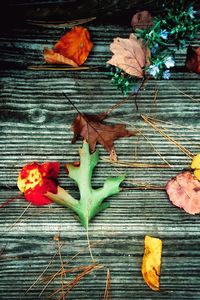 High angle view of autumn leaves on wooden floor