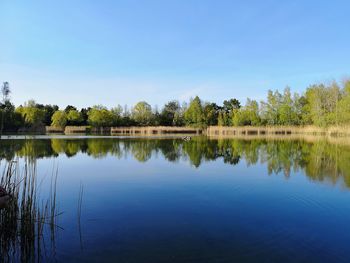 Scenic view of lake against clear blue sky