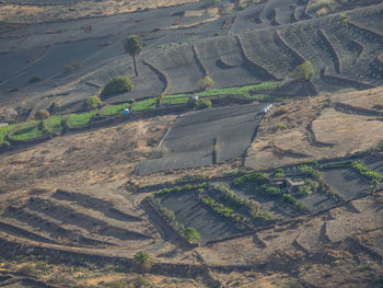 The canary island lanazarote