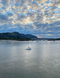 Sailboat sailing on sea against sky