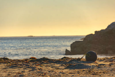 Buoy on seashore at beach against clear sky during sunset