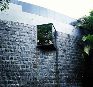 Close-up of ivy on brick wall