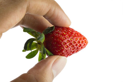 Close-up of hand holding strawberry against white background