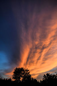 Low angle view of silhouette trees against dramatic sky