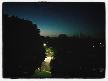 View of illuminated trees at night