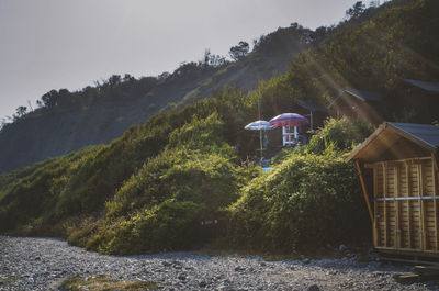 Cosy summer holidays at lyme regis, united kingdom