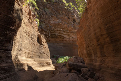 Scenic limestone canyon, barranco de las vacas in agüimes, gran canaria, canary islands spain.