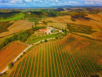 High angle view of agricultural field
