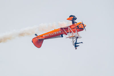 Bird flying over the sky