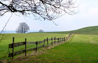 Fence on field against sky