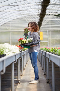 Woman carrying plants in tray at greenhouse