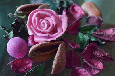 Close-up of pink roses