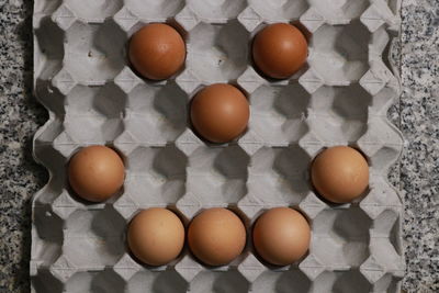 High angle view of eggs in container