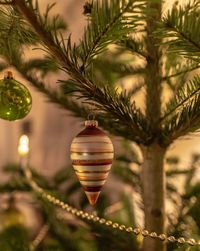 Close-up of christmas decoration hanging on tree