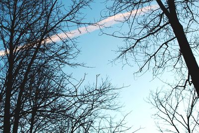 Low angle view of bare tree against clear sky