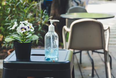 Close-up of potted plant on table