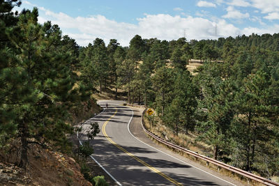 Road amidst trees against sky