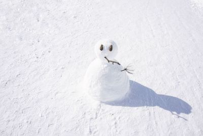 High angle view of a snow