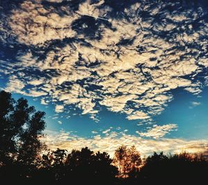 Low angle view of silhouette trees against sky