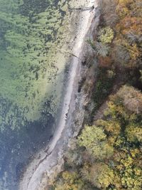 High angle view of water flowing on land