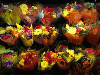 Close-up of tulips for sale