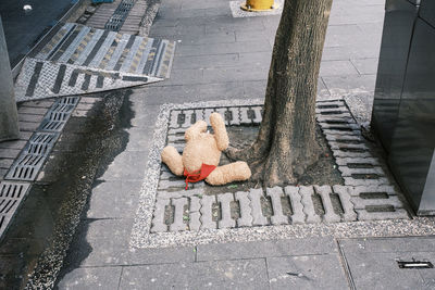 High angle view of stuffed toy on street