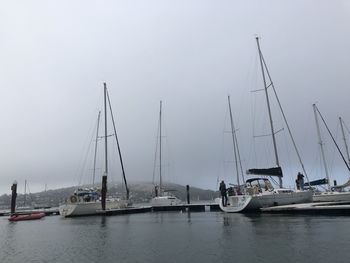 Sailboats in marina