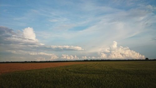 Scenic view of field against cloudy sky