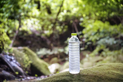 Close-up of bottle on rock